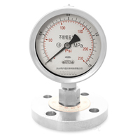 不銹鋼隔膜壓力表